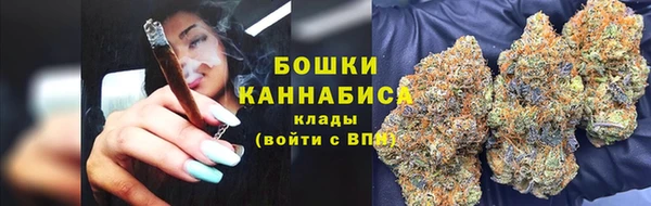 винт Нягань