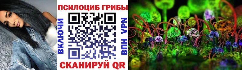 цена наркотик  Холмск  Галлюциногенные грибы MAGIC MUSHROOMS 